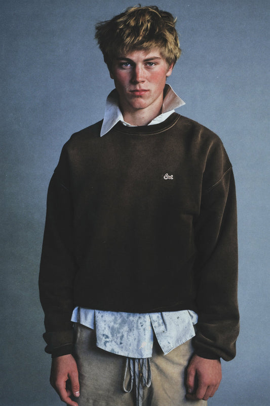 Sunfaded Brown Crewneck