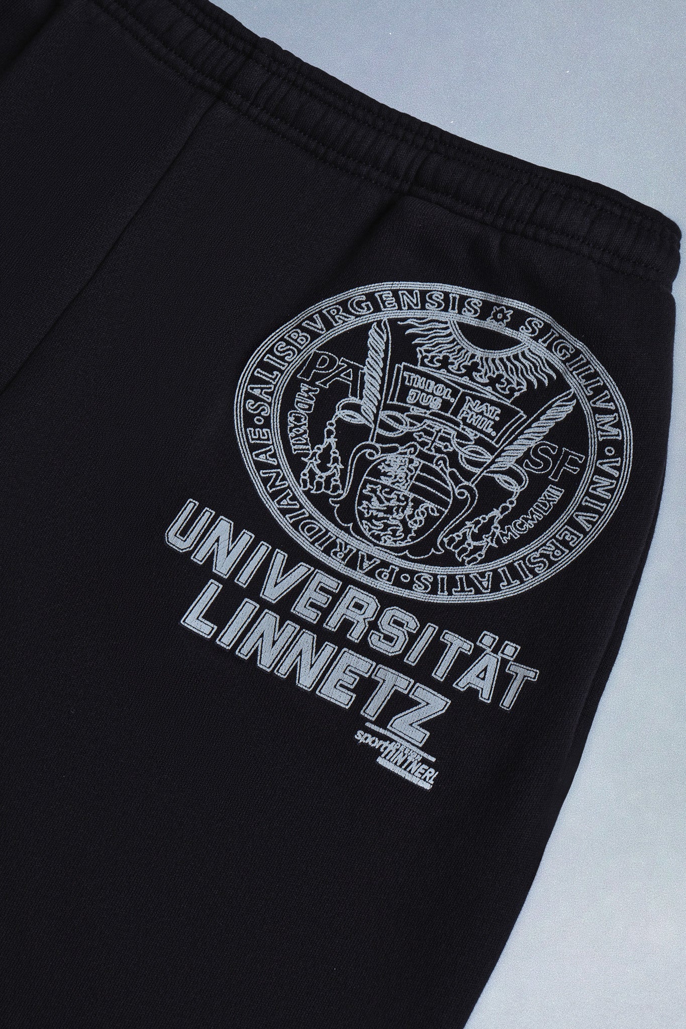 university sweatpants